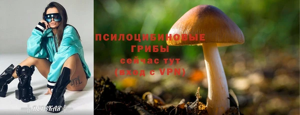 стафф Абаза